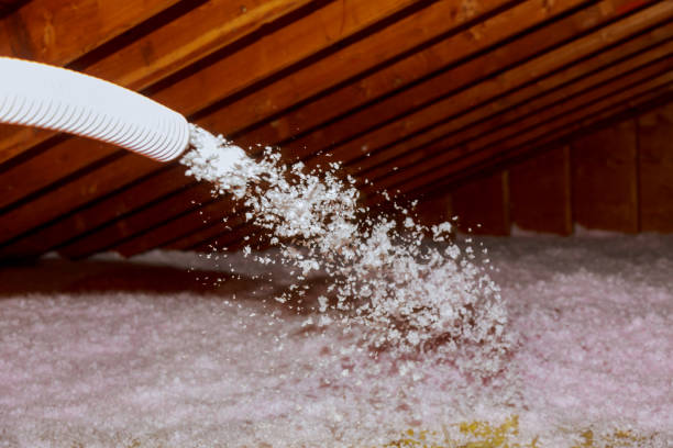 Best Crawl Space Insulation  in Nags Head, NC