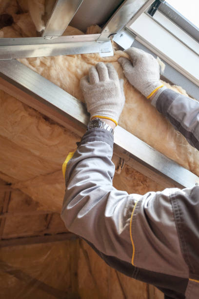 Best Energy-efficient Insulation  in Nags Head, NC