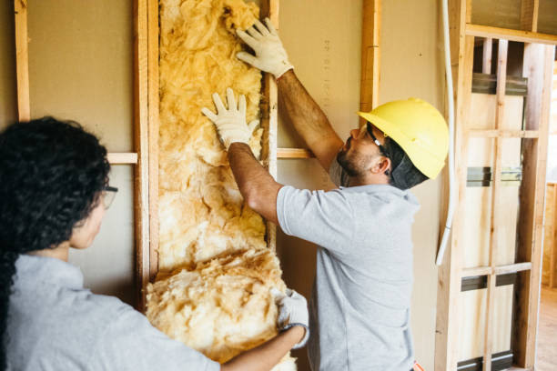 Best Garage Insulation Installation  in Nags Head, NC