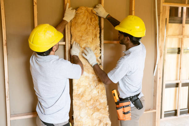 Best Insulation for New Construction  in Nags Head, NC