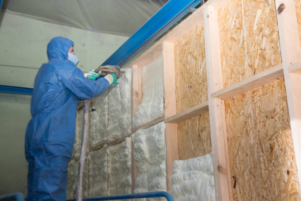 Best Residential Insulation Services  in Nags Head, NC